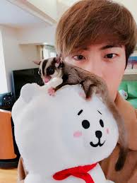 Bts Twitter Update Goruntuler Ile Jin Korece Hayvan