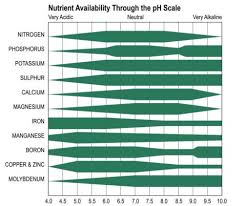 What Does Ph Stand For And How To Monitor Ph Levels In