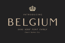 From a typical power point presentation to a website design. Belgium Font Family 107369 Regular Font Bundles Serif Fonts Sans Serif Fonts Modern Serif Fonts