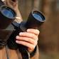 Guided Bird Walk: 2026 Loons & Lakes Festival