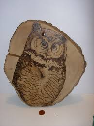 Vintage Owl Wall Plaque Decor STUDIO ART DREW MADDEN WOOD BURNING 10"  SIGNED