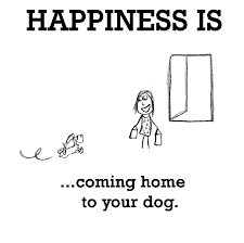 Happiness Is Coming Home To Your Dog Cute Happy Quotes Cute Happy Quotes Dog Quotes Happy Quotes