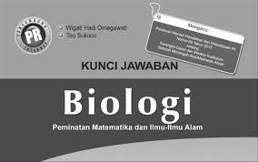 Kunci Jawaban Lks Ekonomi Kelas X Intan Pariwara Gary S Stuff