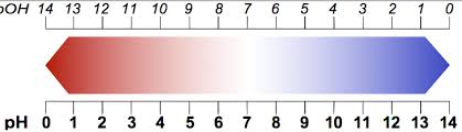 Ph Poh H And Oh Acids And Bases