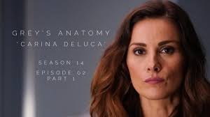 Maybe you would like to learn more about one of these? How Much Do You Know Dr Carina Deluca Station 19 Quiz