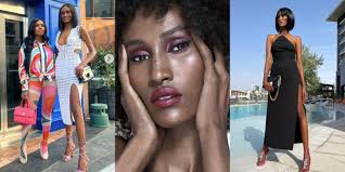 Les vraies femmes au foyer de Dubaï : 11 choses à savoir sur la nouvelle  femme au foyer, Chanel Ayan -