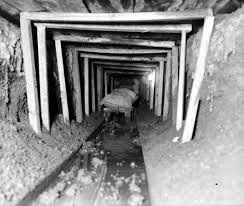 Walter P Reuther Library 27832 Prohibition Smuggling Detroit 1920s Detroit Detroit History Detroit Vs Everybody