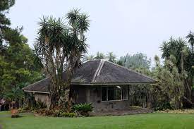 10 Fakta Menarik Istana Kepresidenan Cipanas | backpackstory