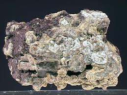 Image result for Selenium