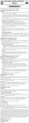 The position of a general manager requires. Deputy General Manager Finance Accounts Officer Collections Social Security Officer Pensions Co Ordinating O Security Officer Social Security Pensions