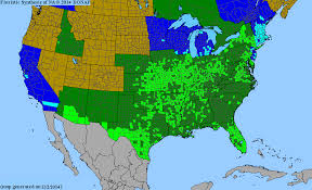 Image result for Cynanchum gerrardii