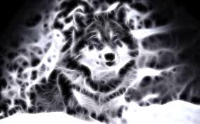 Best hd wildlife photos from national geographics, animal planet and professional photographers. Free Download Cool Animal Wallpapers 1920x1200 For Your Desktop Mobile Tablet Explore 76 Animal Backgrounds Free Animal Wallpaper Christmas Animal Wallpaper Wild Animal Wallpaper
