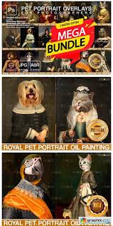 You will need basic knowledge of adobe photoshop and know how to work with the layers. Mega Bundle Royal Pet Portrait Templates Free Download Vector Stock Image Photoshop Icon