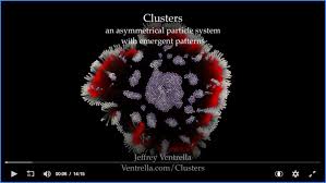 Image result for Dewevrella