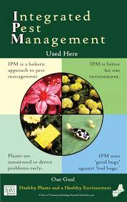 Historically, the biosci research greenhouses have heavier pest infestations than the phytotron. Uvm Greenhouse Ipm Publications Links Apps Resources