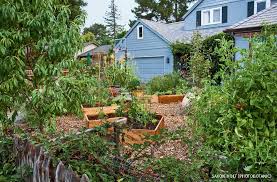 Check spelling or type a new query. Homegrown For Good