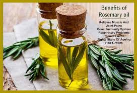 Place in a pretty bottle with a sprig of fresh rosemary for a gift. Rosemary Oil Uses And Health Benefits Femina In