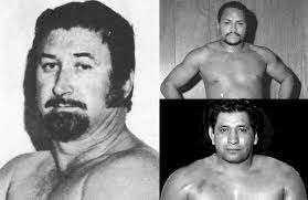 Southern wrestling performers die in car crash