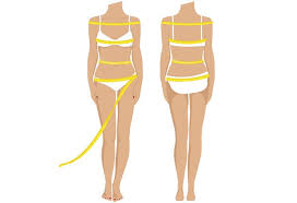 Female figure identification technique (ffit) for apparel. What S Your Body Shape