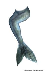 Mermaid Tail 05 By Deviantroze On Deviantart Mermaid Painting Mermaid Drawings Mermaid Art