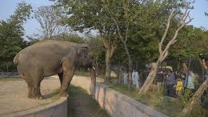 Gaji di toko emas gadjah / 7000 gambar cincin di toko emas. Toko Mas Gajah 2021