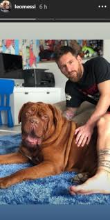 Desde balones o porterías, a retratos de sin duda, el tatuaje de messi más extremo es el diseño en blackout que luce en su pierna izquierda. Entre Fotos Con Antonella Roccuzzo Y Su Mascota Lionel Messi Nos Dejo Descifrar Su Nuevo Tatuaje Bolavip