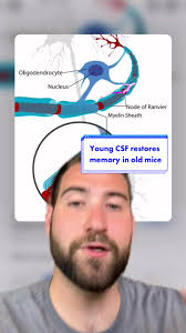 INCREDIBLE PAPER ALERT! 🚨 (Iram et al., Nature, 2022)