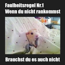 54 Bilder Fur Whatsapp Kostenlos Coole Whatsapp Status Bilder Ich glaub ich schmeiß alles hin und werde prinzessin.