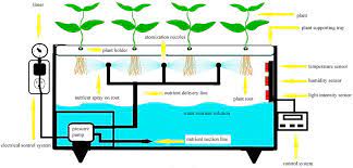 Aeroponics Plant Growing System With Computer Controlled Techniques Download Scientific Diagram