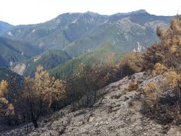 The website collected by this website comes from the. Mdlx8yribeapqm