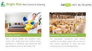 Bright rise pest control abu dhabi is 100% professional pest control service & anti termite treatment company in abu dhabi. Pin On Pest Control Company Abu Dhabi