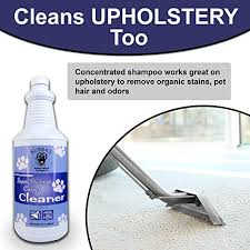 Some buyers do not like the smell. Bubbas Super Strength Concentrate Pet Odor Eliminator Carpet Shampoo Solution Odor And Stain Remover Pet Carpet Cleaner Urine Odor Remover Cleaner For Cat Urine And Dog Pee Stains And Odors Pricepulse