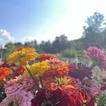 Beer & Blooms: Late Summer Flowers Edition (2026)