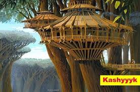 11 Incredibly Cool Places Where You Should Totally Have A Star Wars Staycation Tree House Tree House Designs Cool Tree Houses