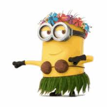 Image result for minion in zumba