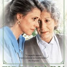 Tomica Hero: Rescue Fire (2009) トミカヒーロー レスキューファイアー Complete DVD Series