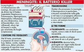 È il sierotipo più frequente nei casi di meningite che colpiscono gli adolescenti; Nuovi Casi Di Meningite In Italia Tra Prevenzione E Allarmismo Politicademente Il Blog Di Massimo Del Mese