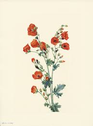 Pin On Brush Pen Art