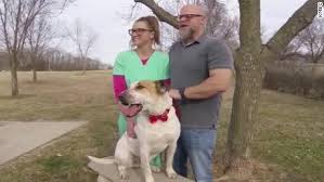 Maybe you would like to learn more about one of these? A Dog Passed Over At A Shelter For Five Years Has Finally Found A Home Cnn