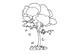 It can be disheartening for a gardener to discover scads of small, immature apples dropping from an apple tree early in the growing season. Coloring Page Tree In Fall Free Printable Coloring Pages Img 9607