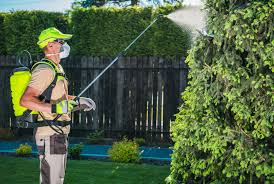 Bug depot do it yourself pest control spring hill 184 mariner blvd. Prime Scape Author At Primescape Services