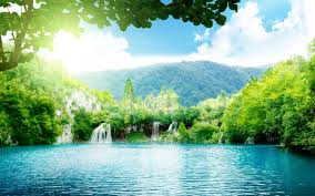 Forest Waterfall Wallpaper 90133408 Jpg 2560 1600 Scenery Wallpaper Beautiful Scenery Wallpaper Landscape Wallpaper