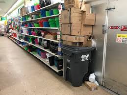 You can walk out of dollar stores with an armful of goods for $20, $10, or less, but that still doesn't deter people from swiping even the cheapest. Dollar Tree And Dollar General Which Is A Better Store