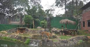 We did not find results for: Melaka Zoo Admission Ticket In Melaka Malaysia Klook Malaysia