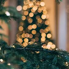 Here's how to do it with safety in mind. Christmas Lights How To String Lights For Your Christmas Display 9homes