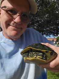 Rescued a small insect at work