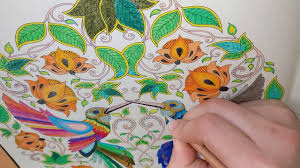 Citește mai mult afiseaza mai putine. Carte De Colorat Pt Adulti Gradina Secreta Pasari Colibri Partea 2 Youtube