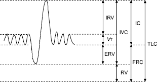 Standardisation Of The Measurement Of Lung Volumes
