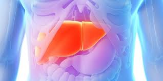 Overview of hepatitis b, including information on symptoms, complications, screening, and prevention. Hepatitis Deherba Com