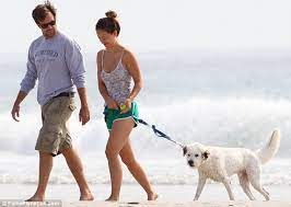 He S Still Top Dog Olivia Wilde Fusses Over Her Beloved Hound Paco As Boyfriend Jason Sudekis Looks On Daily Mail Online